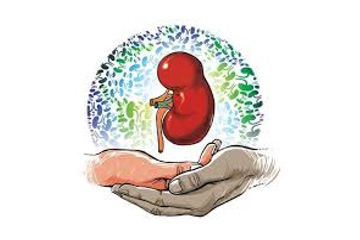 Kidney Patients’ rights
